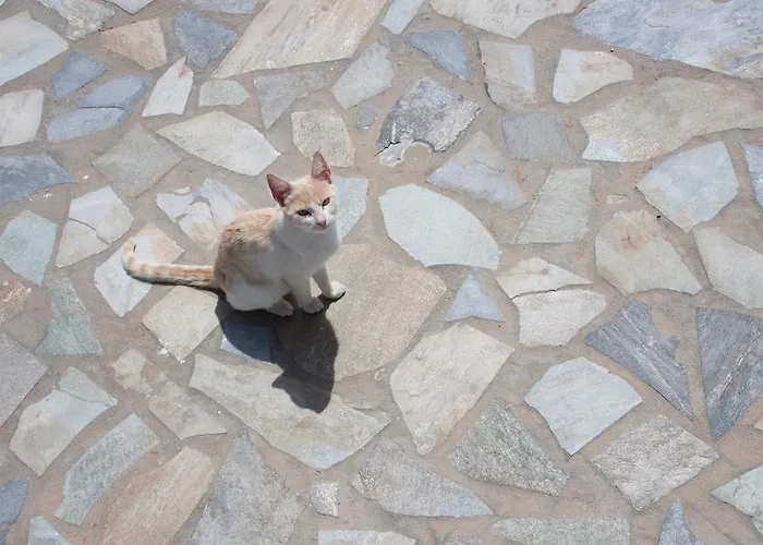 Apartahotel Parasporos Village Adamantas (Milos)